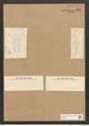 Diatomeae indet. Zeichnungen Sammlung Grunow Nr. 3282 (NHMW-BOT-W0370764)